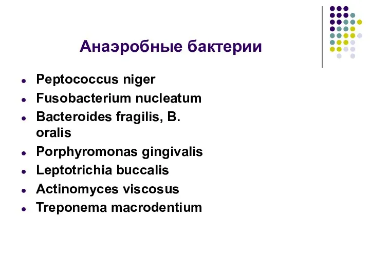 Анаэробные бактерии Peptococcus niger Fusobacterium nucleatum Bacteroides fragilis, B. oralis