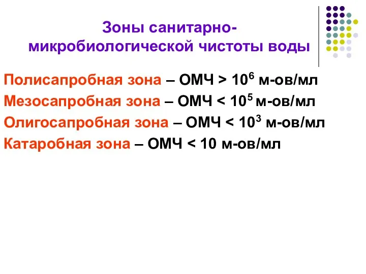 Зоны санитарно-микробиологической чистоты воды Полисапробная зона – ОМЧ > 106