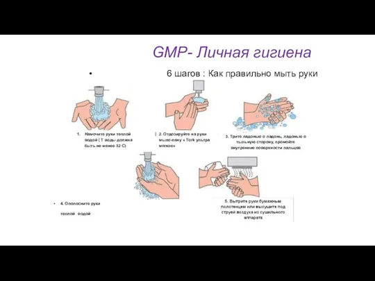 GMP- Личная гигиена 6 шагов : Как правильно мыть руки