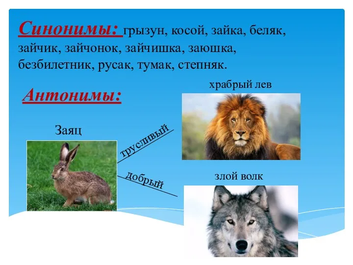 Синонимы: грызун, косой, зайка, беляк, зайчик, зайчонок, зайчишка, заюшка, безбилетник,