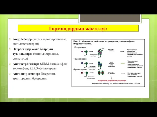 Гормондардың жіктелуі: Андрогендер (тестостерон пропионат, метилтестостерон) Эстрогендер және олардың туындылары