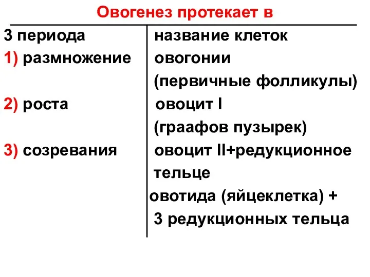 Овогенез протекает в 3 периода название клеток 1) размножение овогонии