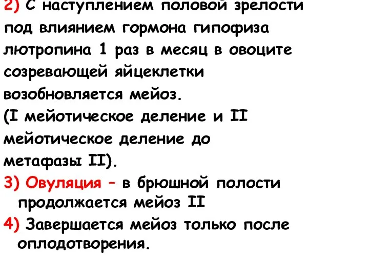 2) С наступлением половой зрелости под влиянием гормона гипофиза лютропина 1 раз в