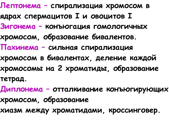 Лептонема – спирализация хромосом в ядрах спермацитов I и овоцитов I Зигонема –