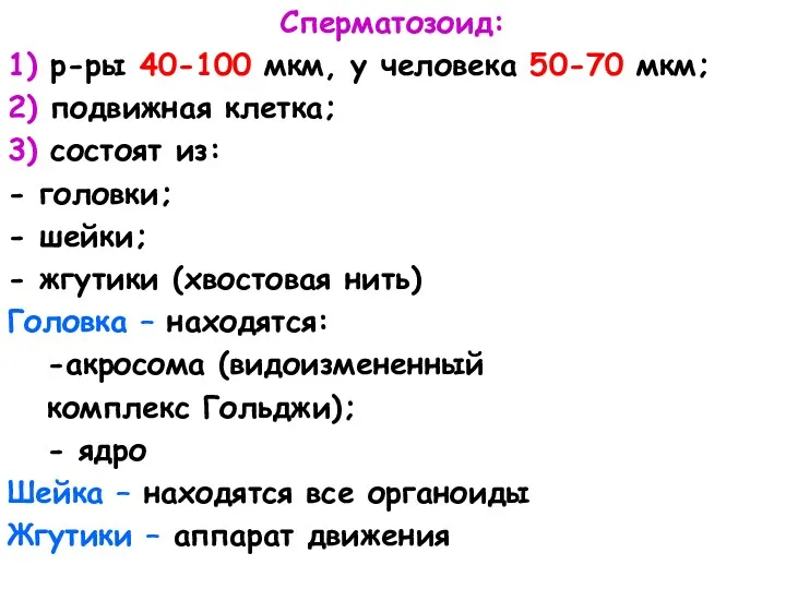 Сперматозоид: 1) р-ры 40-100 мкм, у человека 50-70 мкм; 2) подвижная клетка; 3)