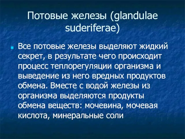 Потовые железы (glandulae suderiferae) Все потовые железы выделяют жидкий секрет,