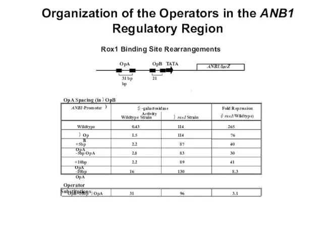 3 .5 OpA in OpB site 0 .86 43 50