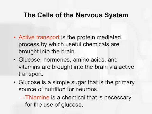 The Cells of the Nervous System Active transport is the