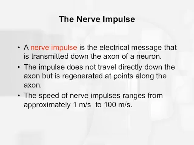 The Nerve Impulse A nerve impulse is the electrical message