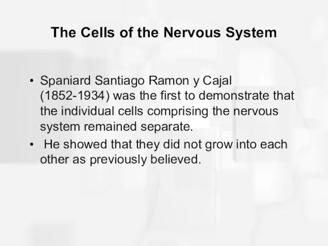 The Cells of the Nervous System Spaniard Santiago Ramon y