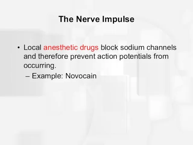 The Nerve Impulse Local anesthetic drugs block sodium channels and