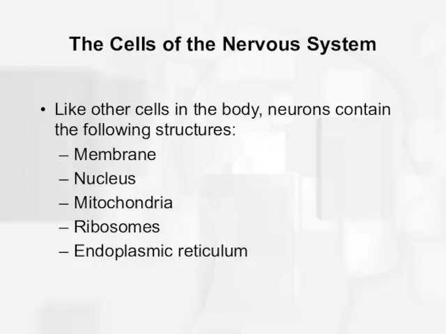 The Cells of the Nervous System Like other cells in