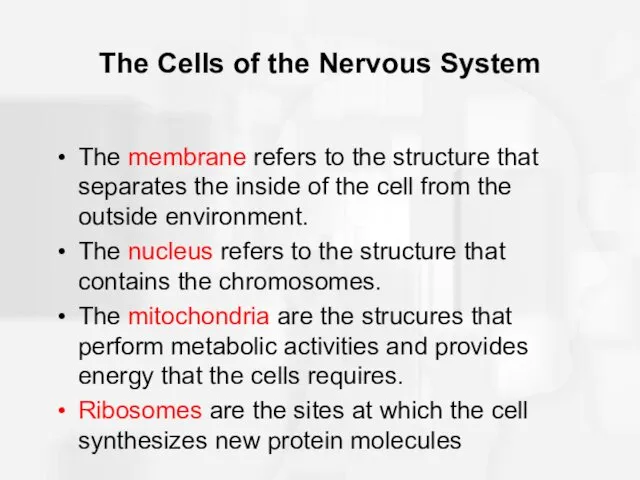 The Cells of the Nervous System The membrane refers to