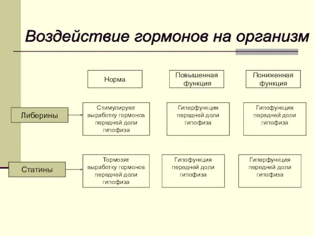 Либерины Статины Норма Повышенная функция Пониженная функция Стимулируют выработку гормонов