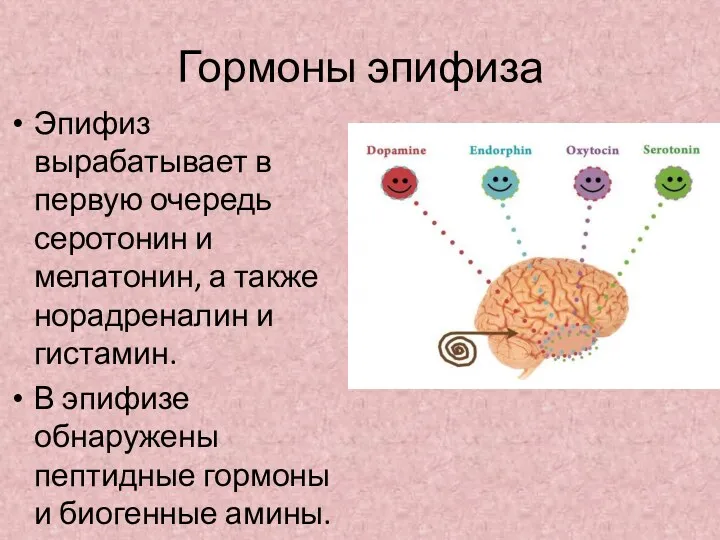 Гормоны эпифиза Эпифиз вырабатывает в первую очередь серотонин и мелатонин, а также норадреналин