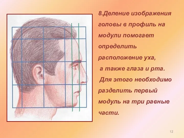 8.Деление изображения головы в профиль на модули помогает определить расположение