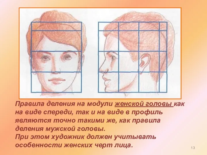 Правила деления на модули женской головы как на виде спереди,