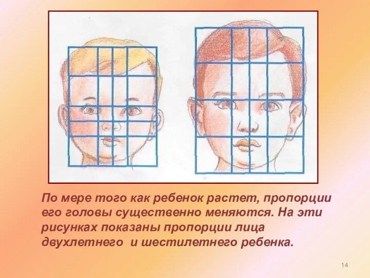 По мере того как ребенок растет, пропорции его головы существенно