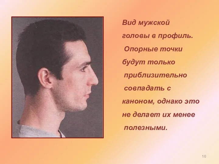 Вид мужской головы в профиль. Опорные точки будут только приблизительно