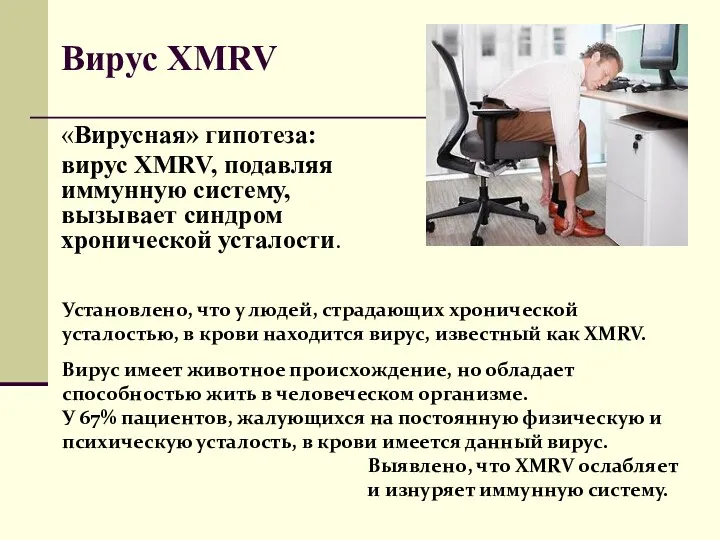 «Вирусная» гипотеза: вирус XMRV, подавляя иммунную систему, вызывает синдром хронической усталости. Вирус XMRV