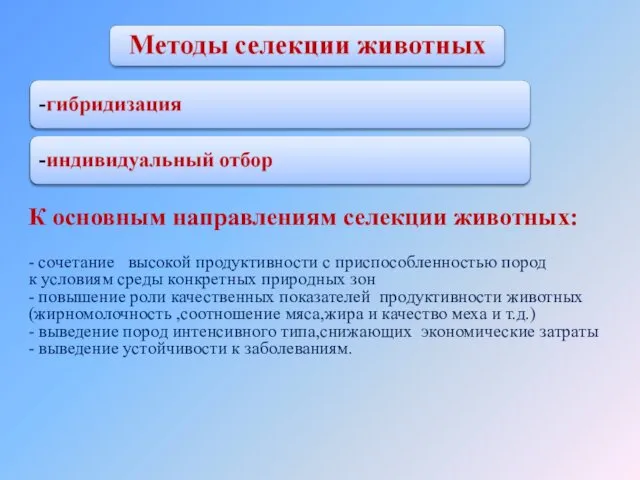 К основным направлениям селекции животных: - сочетание высокой продуктивности с