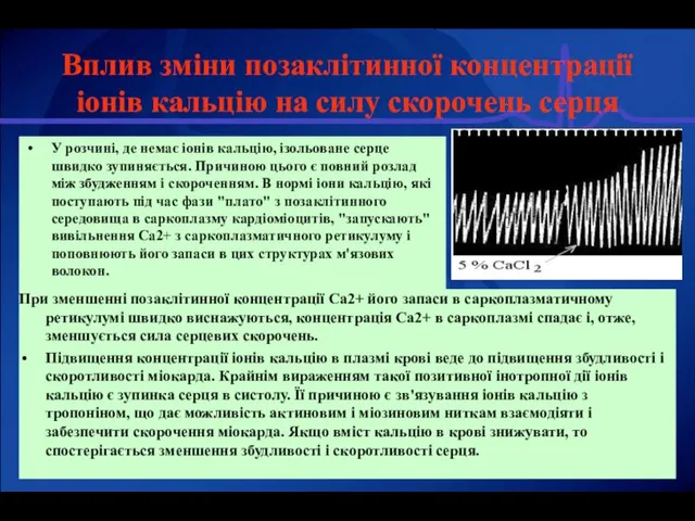 Вплив зміни позаклітинної концентрації іонів кальцію на силу скорочень серця