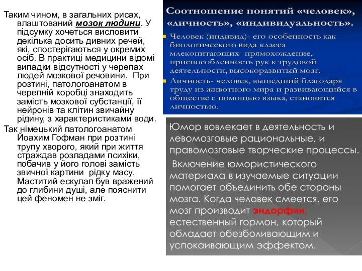 Таким чином, в загальних рисах, влаштований мозок людини. У підсумку