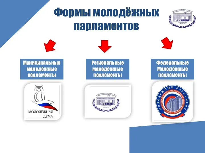 Формы молодёжных парламентов Муниципальные молодёжные парламенты Региональные молодёжные парламенты Федеральные Молодёжные парламенты