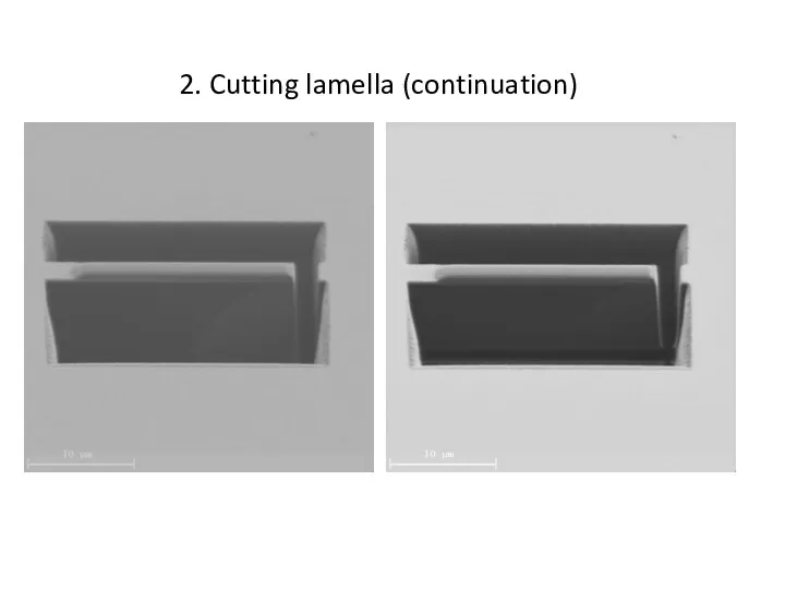 2. Cutting lamella (continuation)