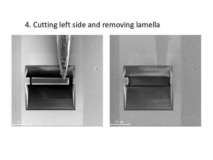 4. Cutting left side and removing lamella