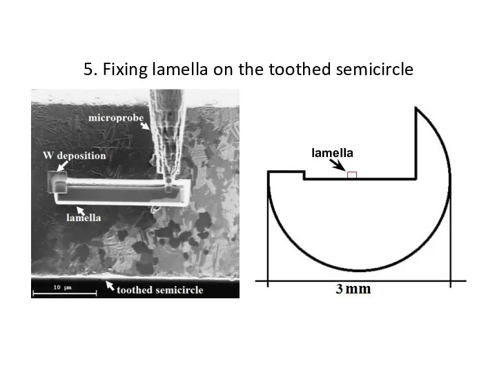 5. Fixing lamella on the toothed semicircle