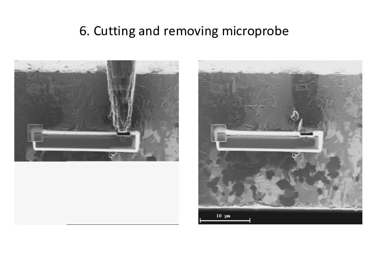 6. Cutting and removing microprobe