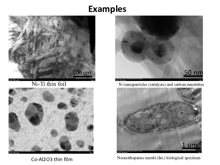 Examples Ni nanoparticles (catalysts) and carbon nanotubes Ni-Ti thin foil