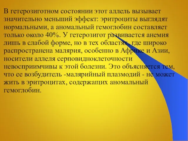 В гетерозиготном состоянии этот аллель вызывает значительно меньший эффект: эритроциты