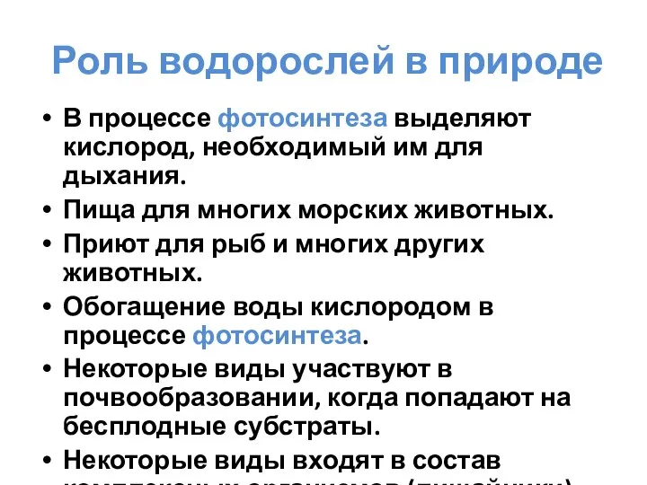 Роль водорослей в природе В процессе фотосинтеза выделяют кислород, необходимый