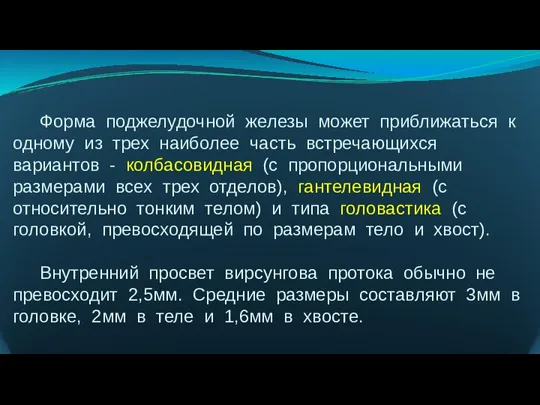 Форма поджелудочной железы может приближаться к одному из трех наиболее часть встречающихся вариантов