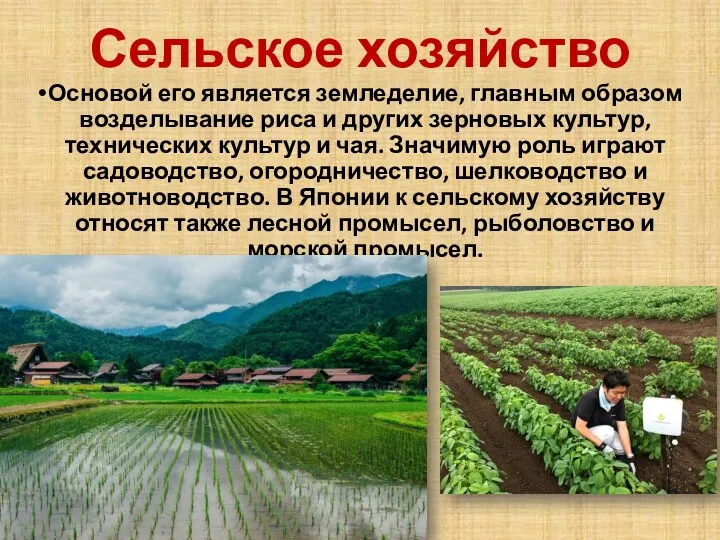 Сельское хозяйство Основой его является земледелие, главным образом возделывание риса и других зерновых