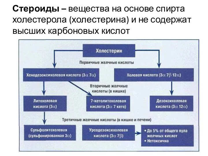 Стероиды – вещества на основе спирта холестерола (холестерина) и не содержат высших карбоновых кислот