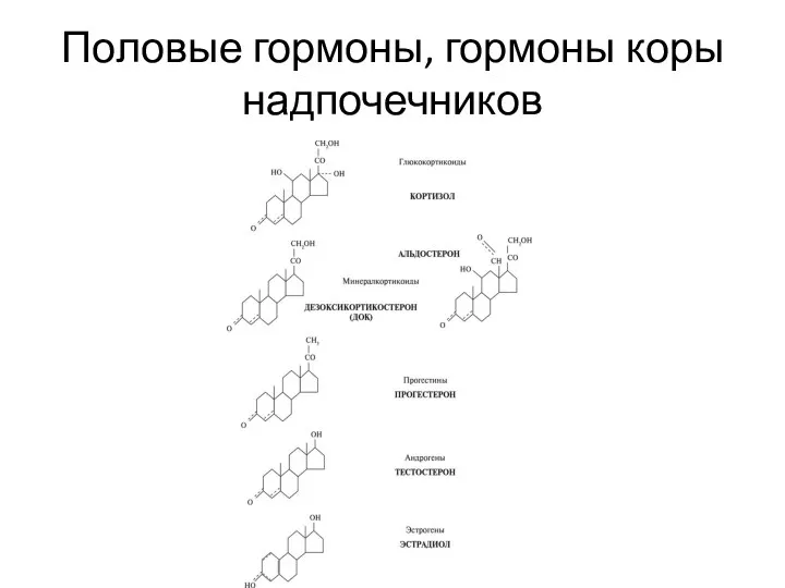 Половые гормоны, гормоны коры надпочечников