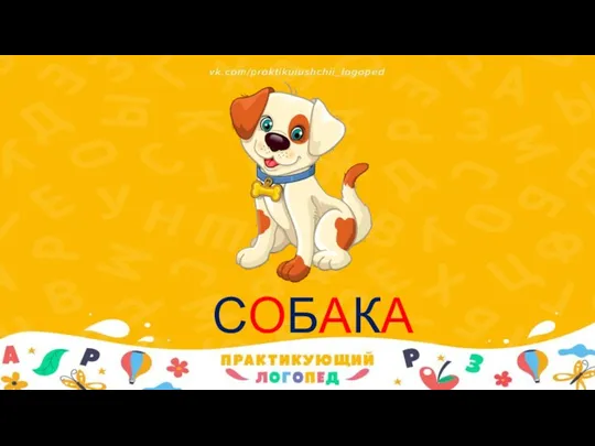 СОБАКА