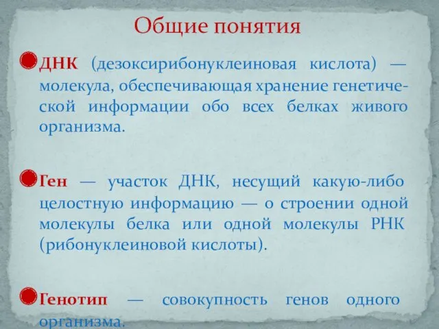 ДНК (дезоксирибонуклеиновая кислота) — молекула, обеспечивающая хранение генетиче-ской информации обо