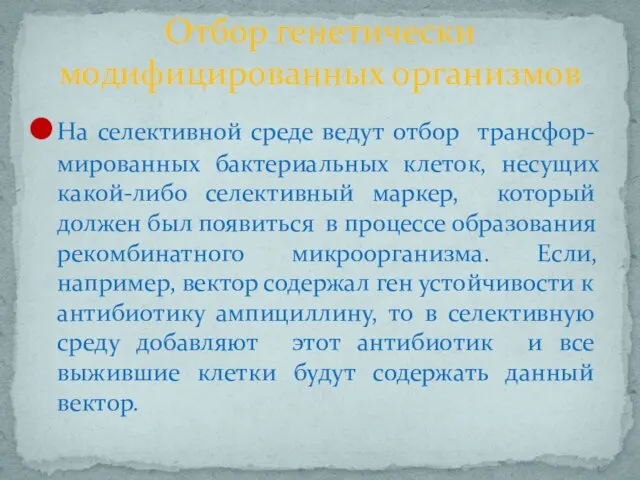 На селективной среде ведут отбор трансфор-мированных бактериальных клеток, несущих какой-либо