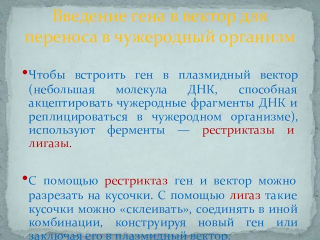 Чтобы встроить ген в плазмидный вектор (небольшая молекула ДНК, способная