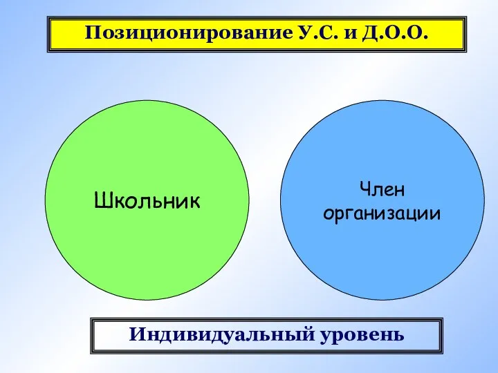 Школьник Член организации Индивидуальный уровень Позиционирование У.С. и Д.О.О.