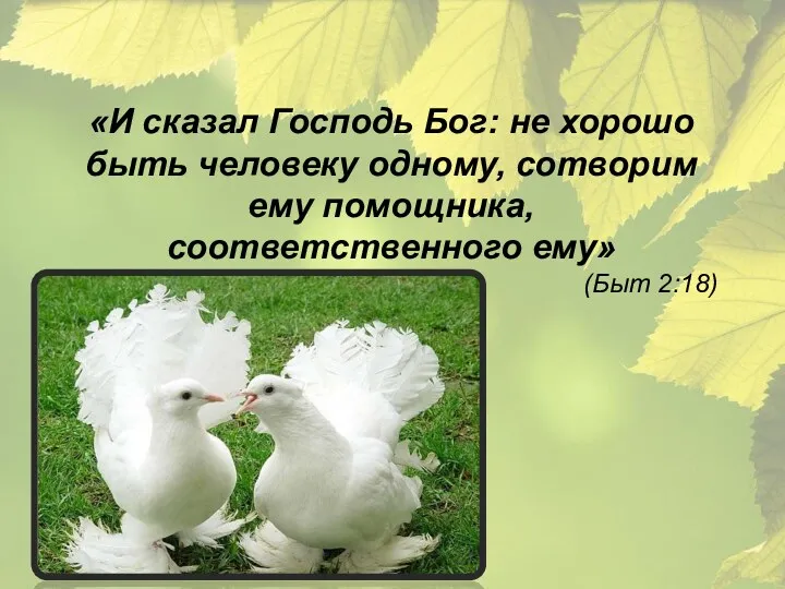 «И сказал Господь Бог: не хорошо быть человеку одному, сотворим ему помощника, соответственного ему» (Быт 2:18)