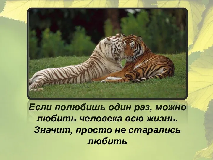 Если полюбишь один раз, можно любить человека всю жизнь. Значит, просто не старались любить