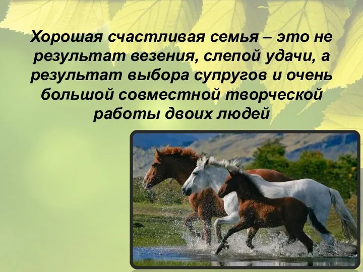 Хорошая счастливая семья – это не результат везения, слепой удачи,