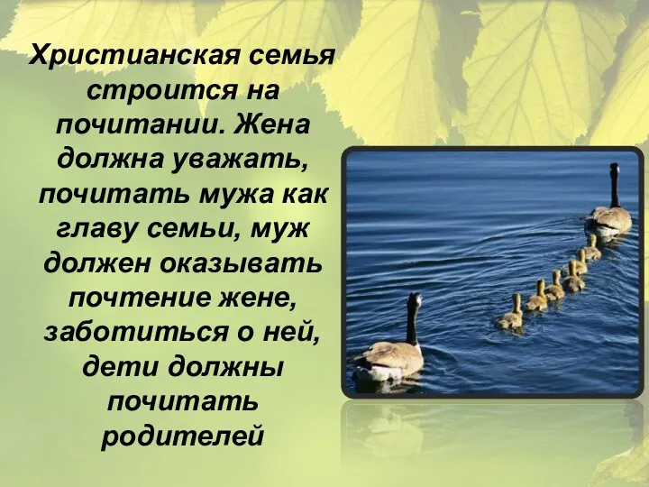 Христианская семья строится на почитании. Жена должна уважать, почитать мужа