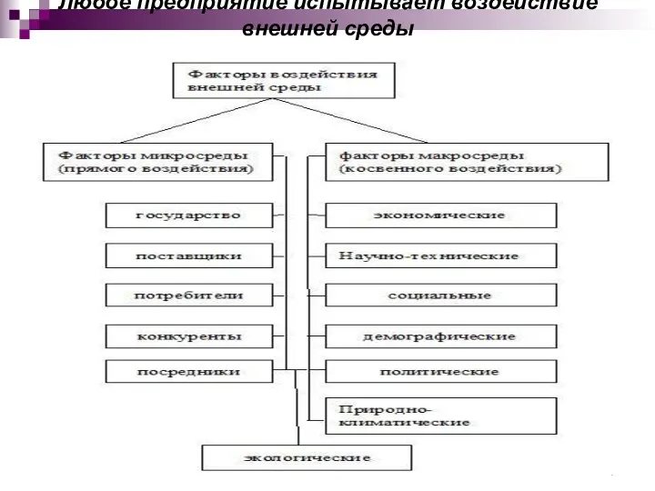 Любое предприятие испытывает воздействие внешней среды