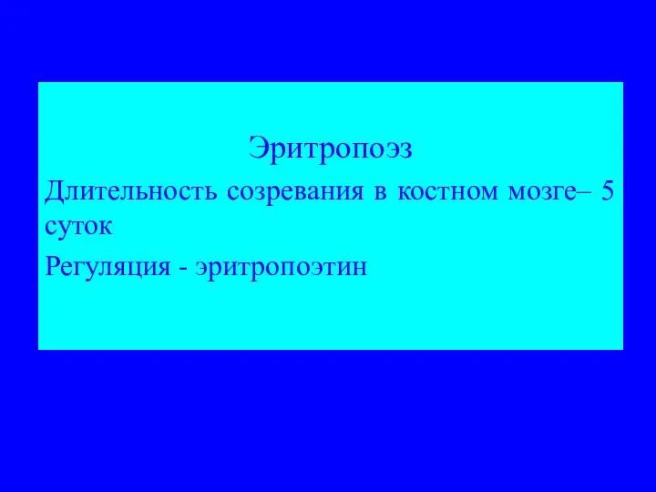 Эритропоэз Длительность созревания в костном мозге– 5 суток Регуляция - эритропоэтин